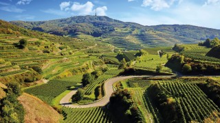 Aufnahme Texaspass Kaiserstuhl Aufnahme Texaspass Kaiserstuhl