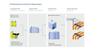 Das Funktionsprinzip der Biogaserzeugung grafisch erklärt