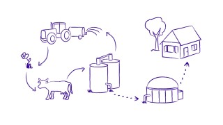 Das Funktionsprinzip der Biogaserzeugung grafisch erklärt
