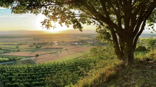Landschaft Tal mit Baum Landschaft Tal mit Baum
