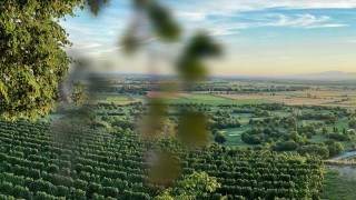 Landschaft Tal mit Weinbergen Landschaft Tal mit Weinbergen