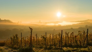 Unsere Erde dient als Wärmespeicher.